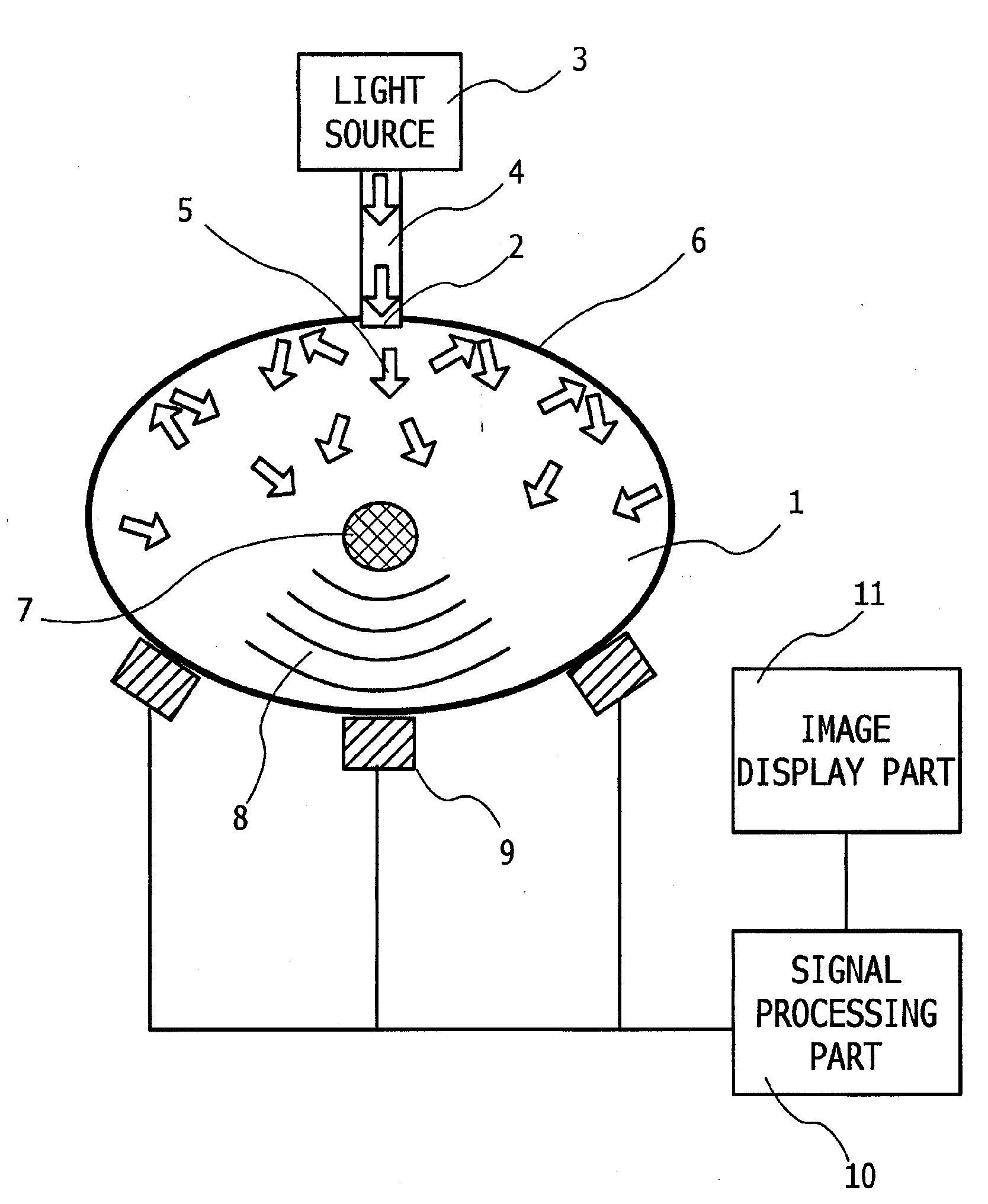 Photoacoustic Apparatus, and Probe for Receiving Photoacoustic Waves