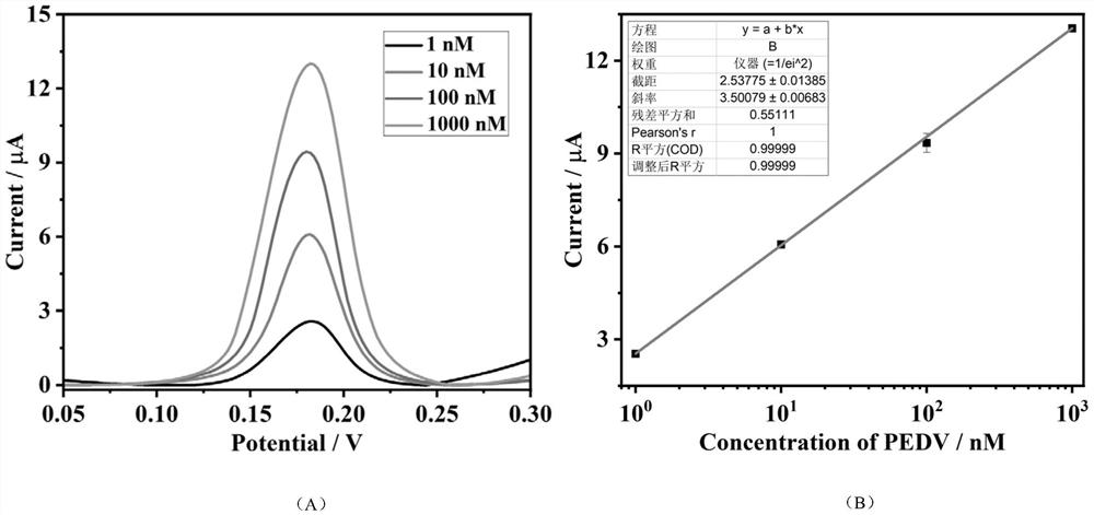 Port porcine epidemic diarrhea virus electrochemical detection method based on silver deposition signal amplification