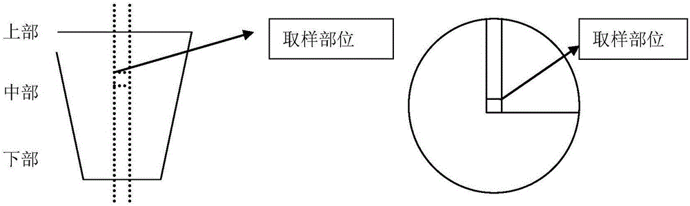 Magneto-vibration solidification device and method for light alloy melt