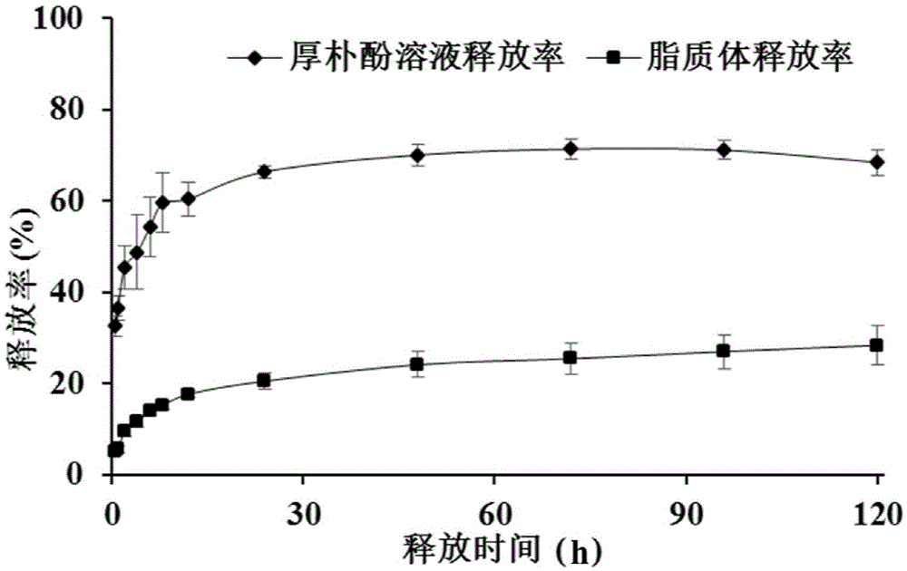 Magnolol liposome and derivative preparation and preparation method thereof