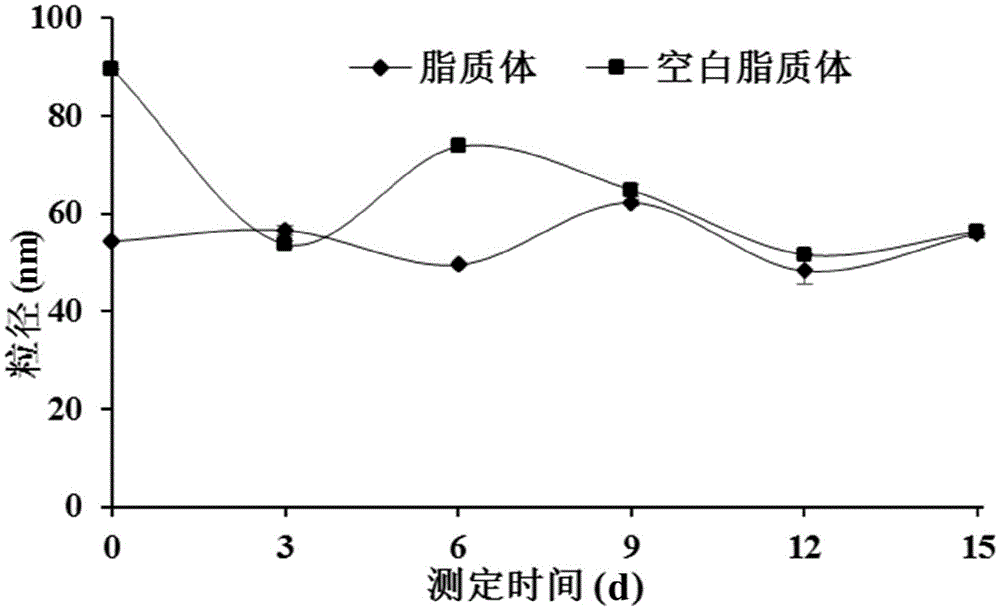 Magnolol liposome and derivative preparation and preparation method thereof