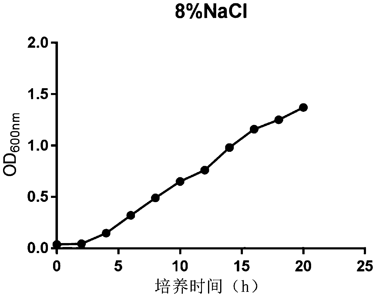 Lactobacillus plantarum and application thereof