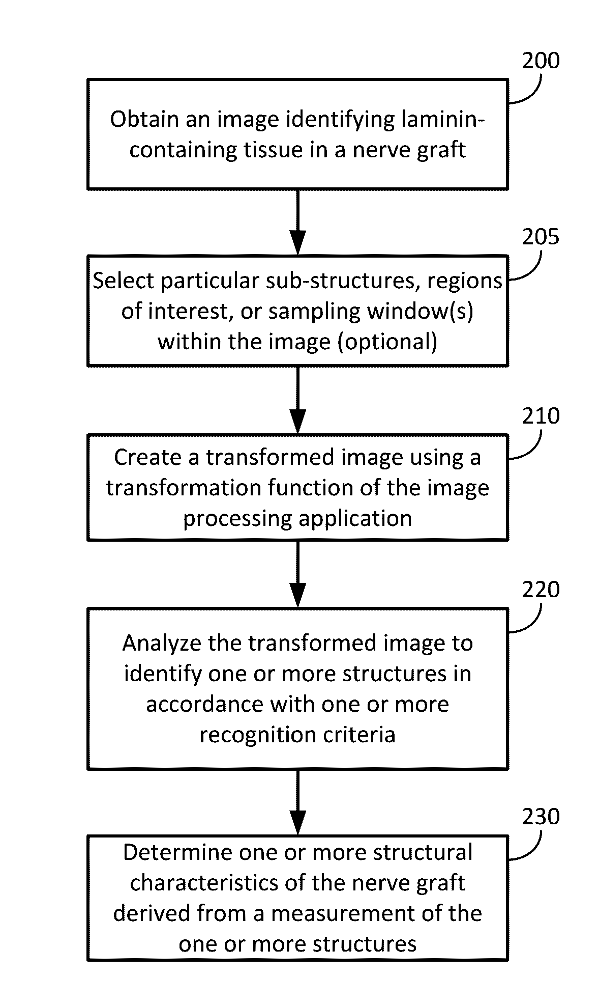 Quantitative structural assay of a nerve graft