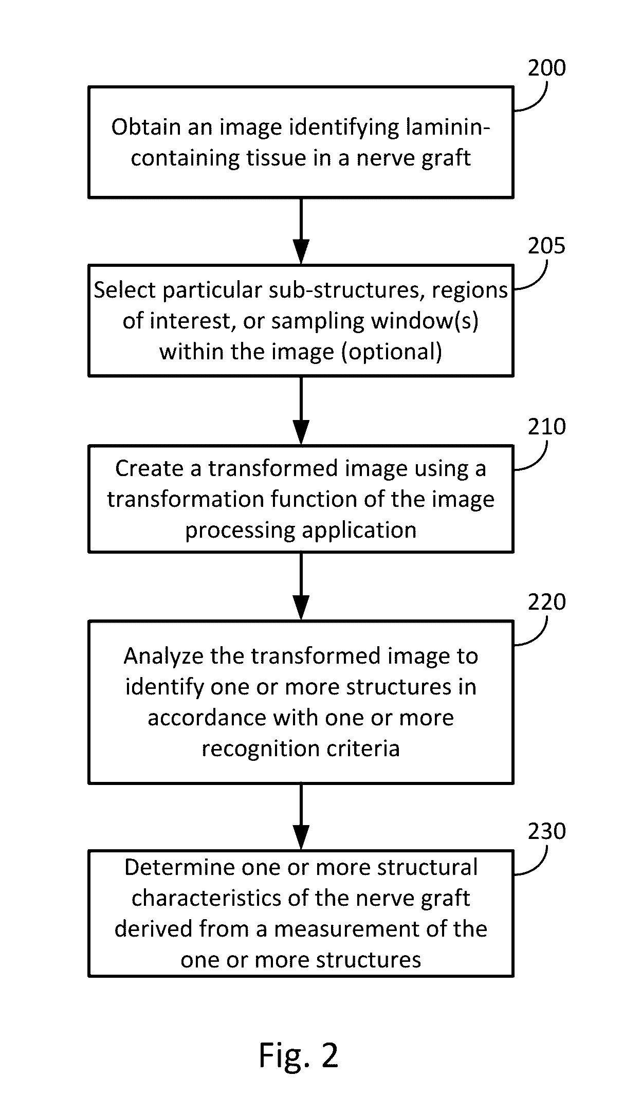 Quantitative structural assay of a nerve graft