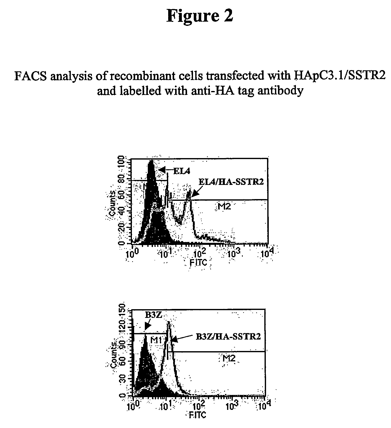 Methods and compounds for raising antibodies and for screening antibody repertoires