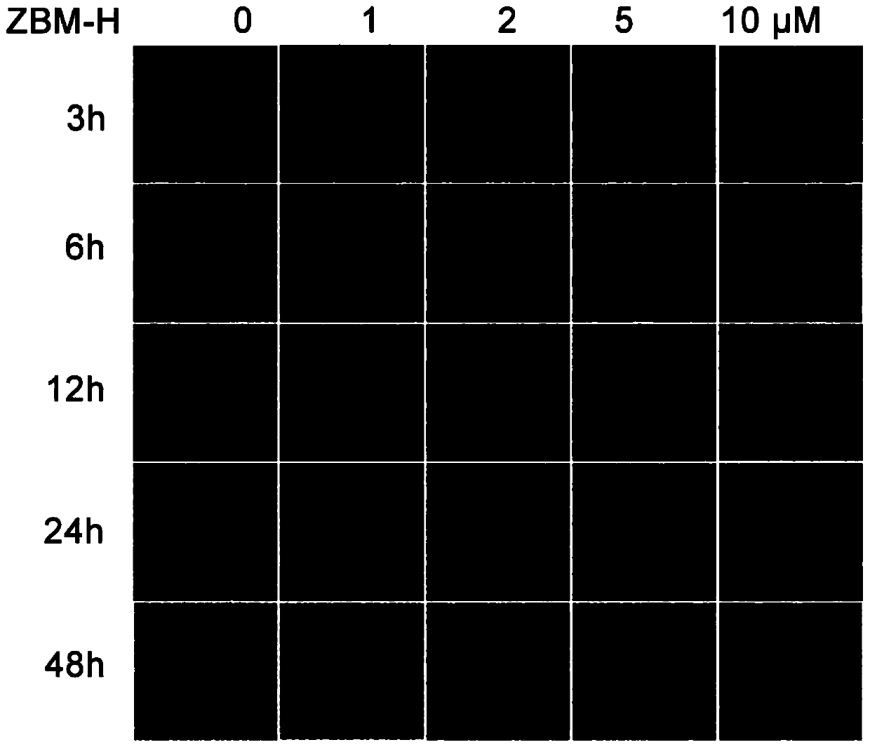 Application of 1,3,3-trimethyl-2-benzo-imidazo-pyridine-vinyl-indolium iodide in preparing anticancer drug