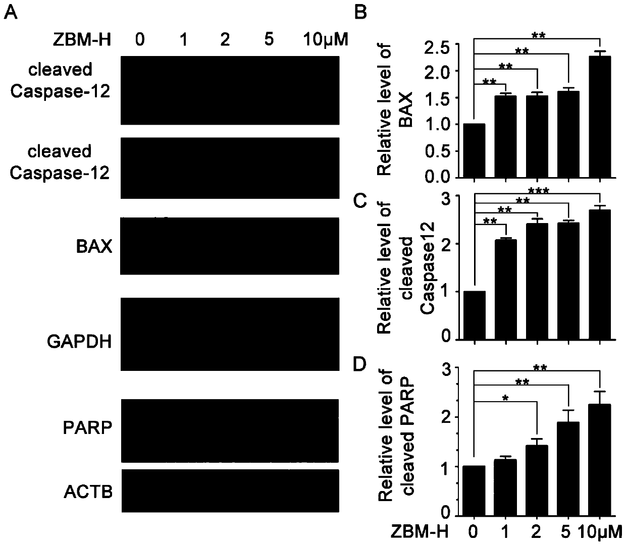 Application of 1,3,3-trimethyl-2-benzo-imidazo-pyridine-vinyl-indolium iodide in preparing anticancer drug