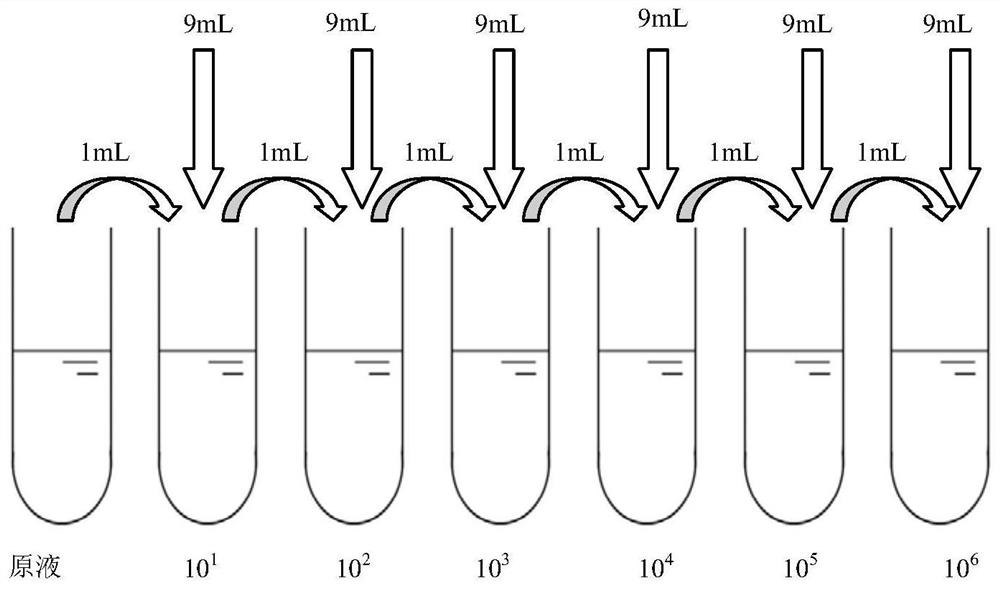 Full-automatic dilution instrument and liquid dilution method