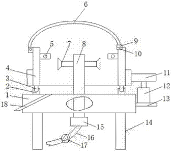 Paint spraying device for automobile parts