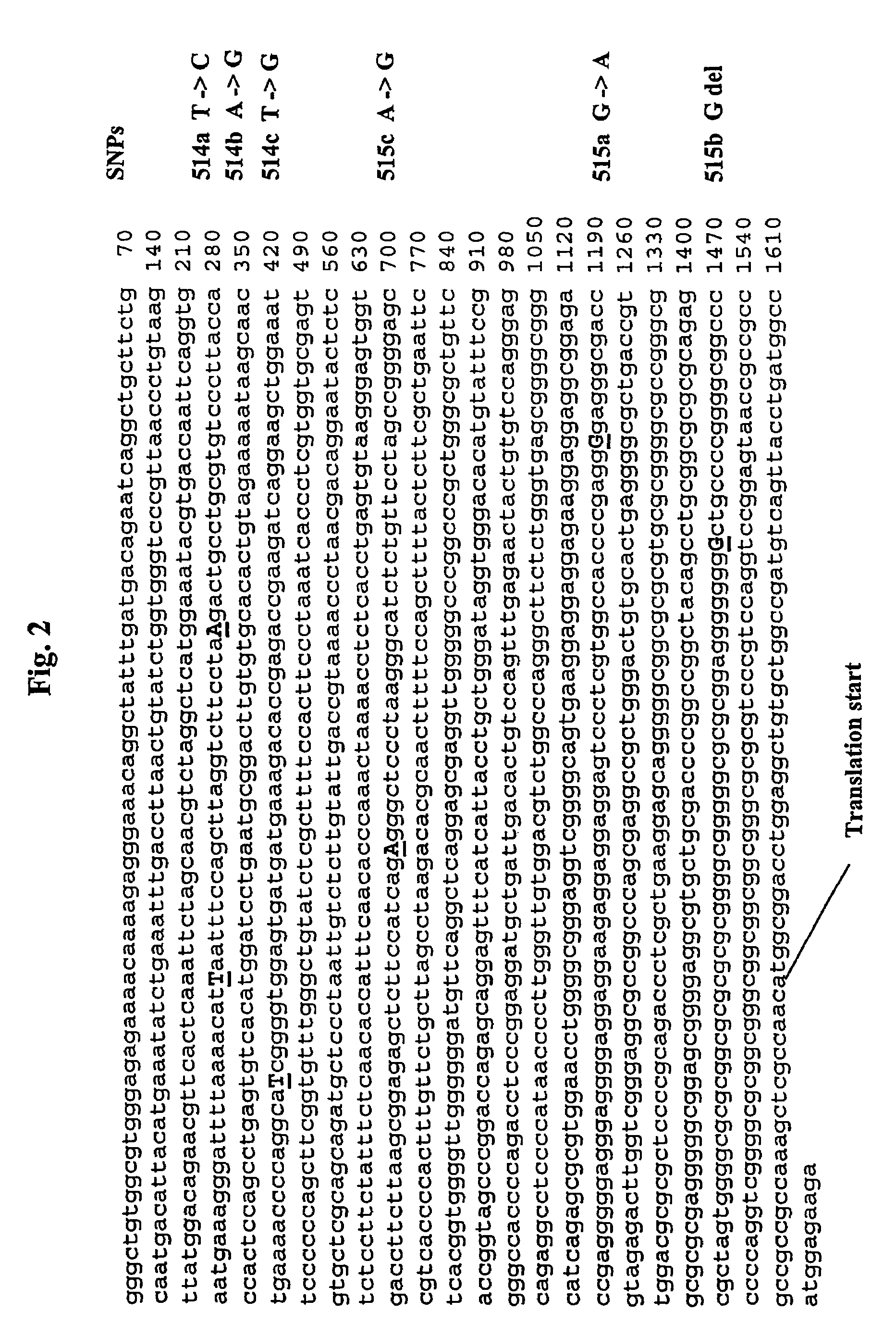 Methods for diagnosis and treatment of psychiatric disorders