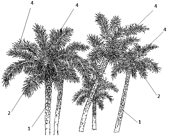 Method for imitating urban landscape into flowers and landscape