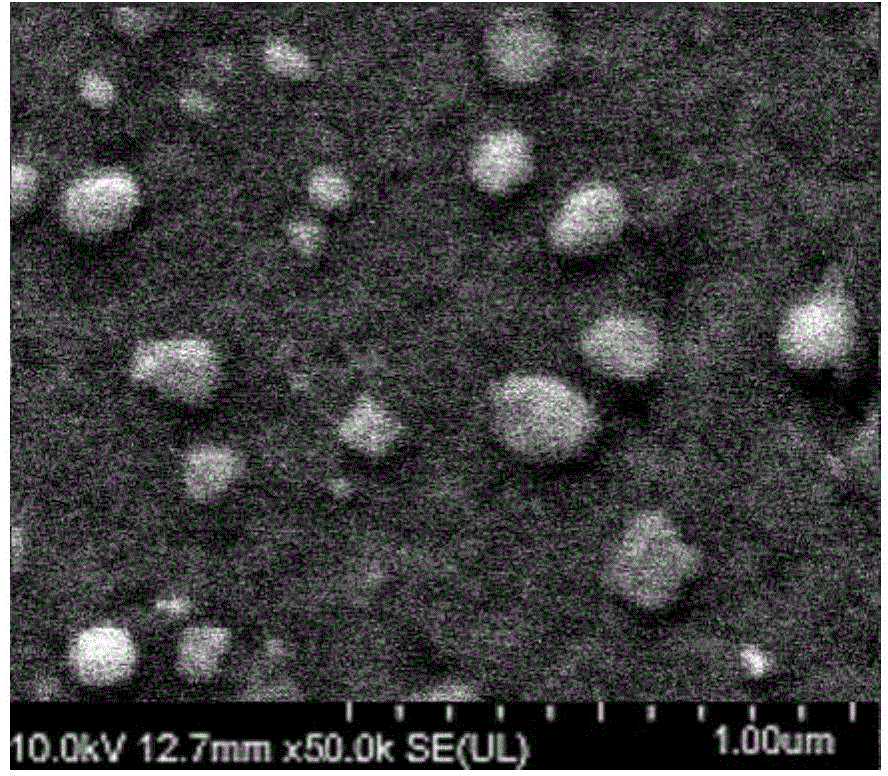 Preparation method of tinib drug alhumin nano preparation used for injection