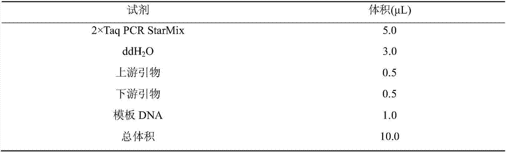 Method for detecting Indel markers of beef cattle PLAG1 genes and special kit thereof