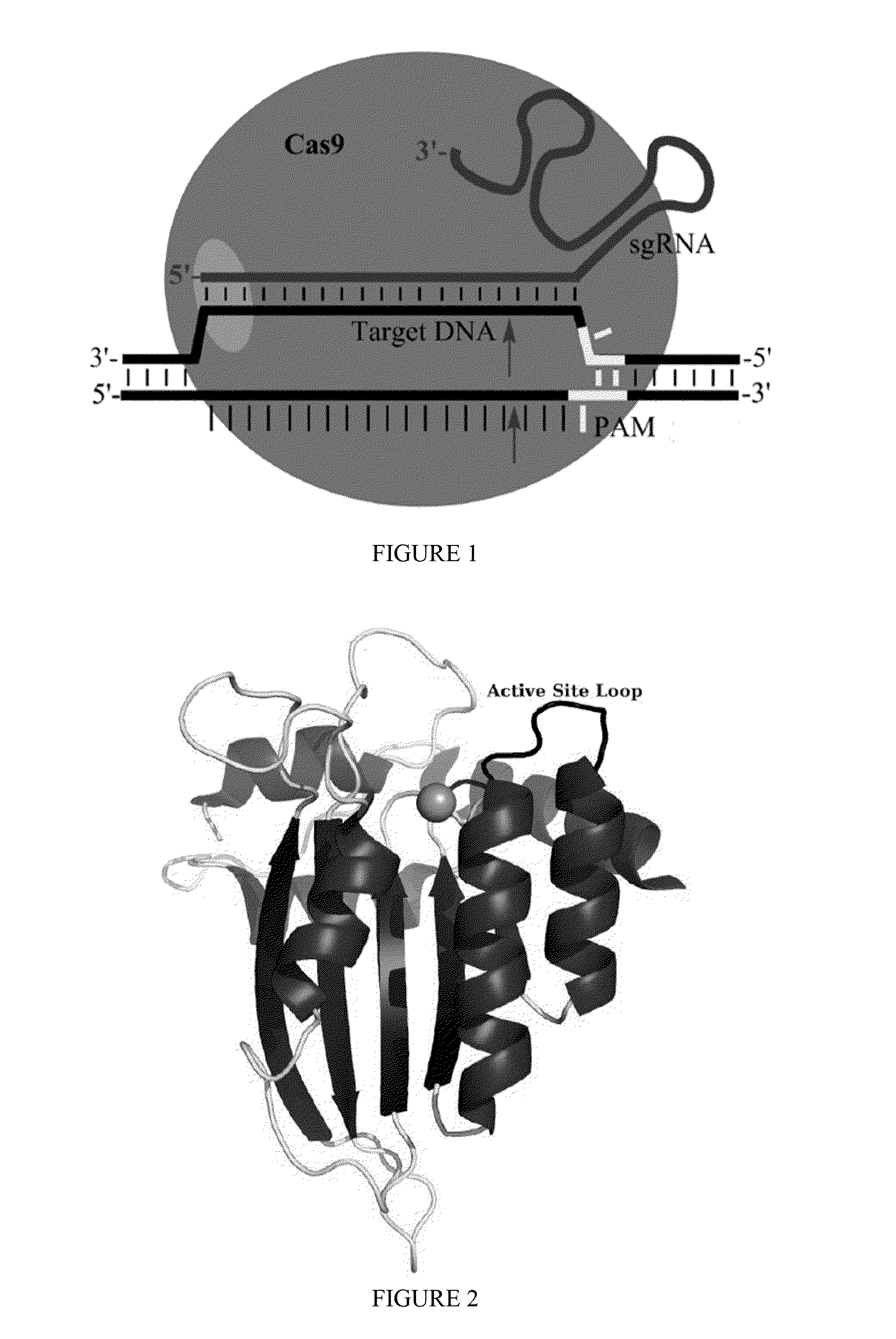 Methods for nucleic acid editing