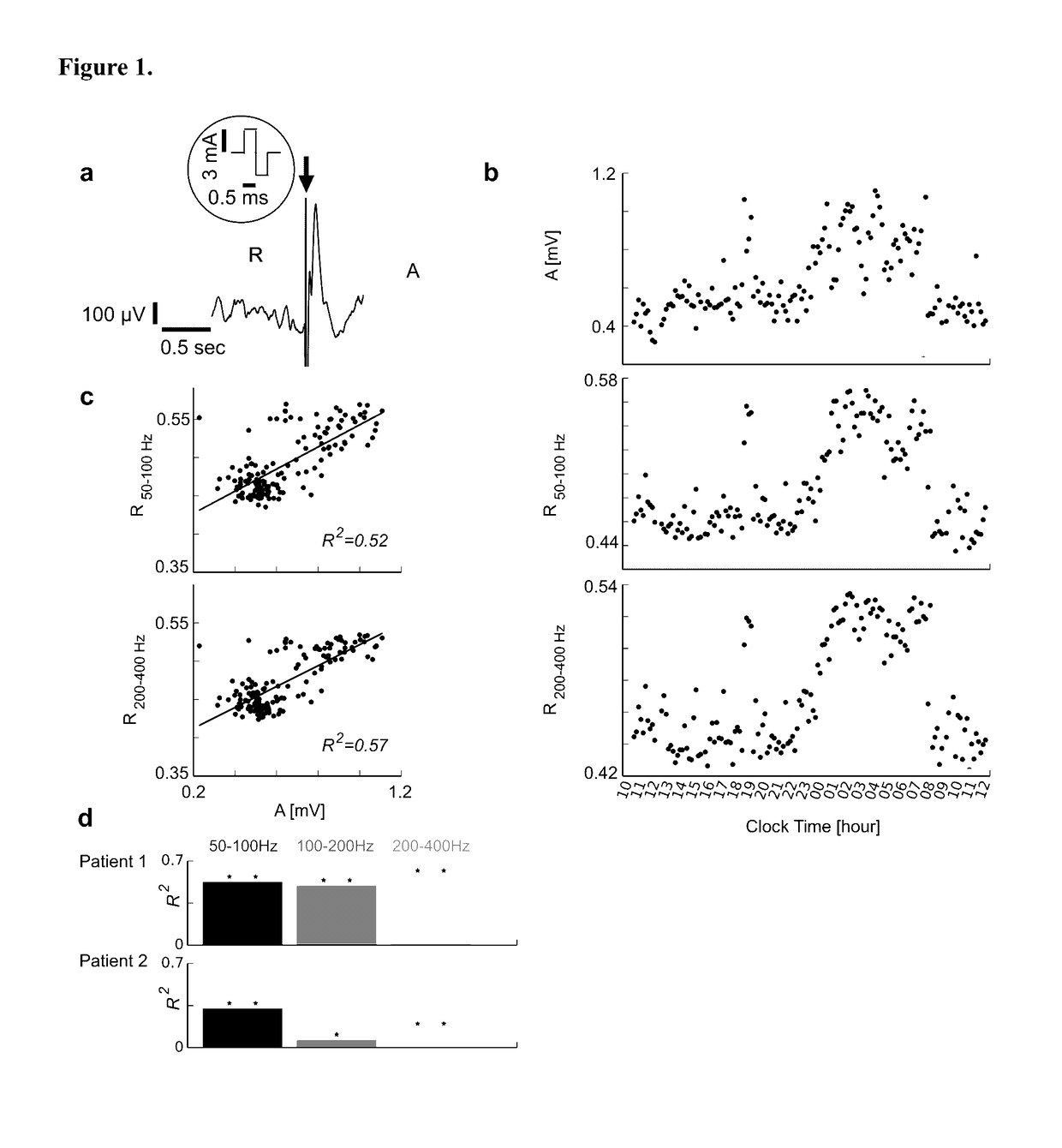 Monitoring human brain excitability using synchronization measures