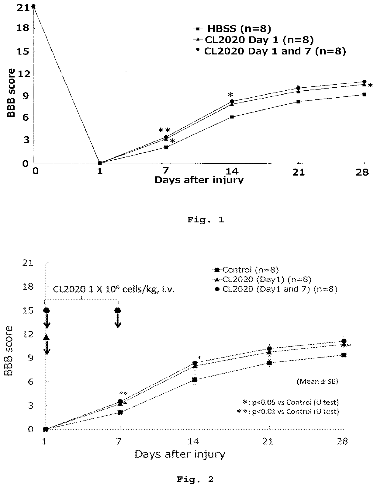 Therapeutic agent for spinal cord injury