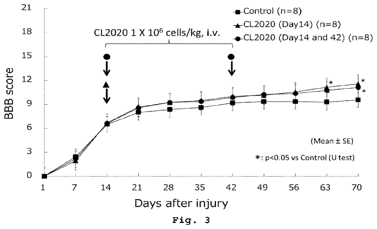 Therapeutic agent for spinal cord injury