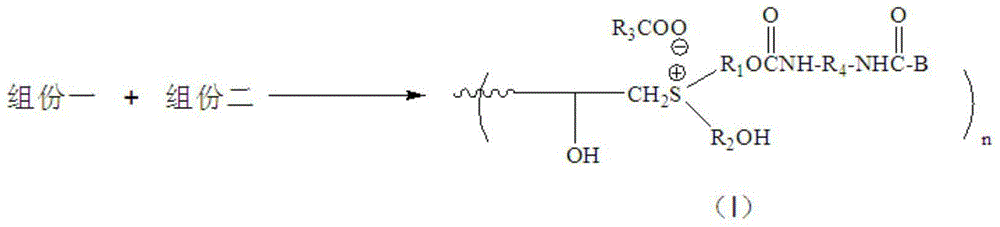 Ionic curing agent and preparation method thereof