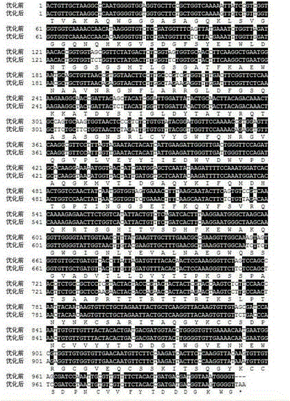 Recombinant pichia pastoris engineering bacteria and metabolic recombinant xylanase as well as preparation of metabolic recombinant xylanase