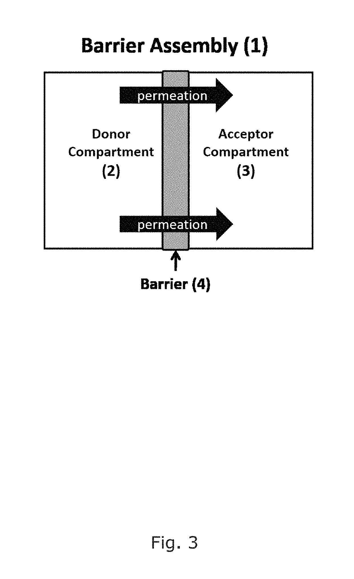 Assembly for assessing drug permeability with adjustable biomimetic properties