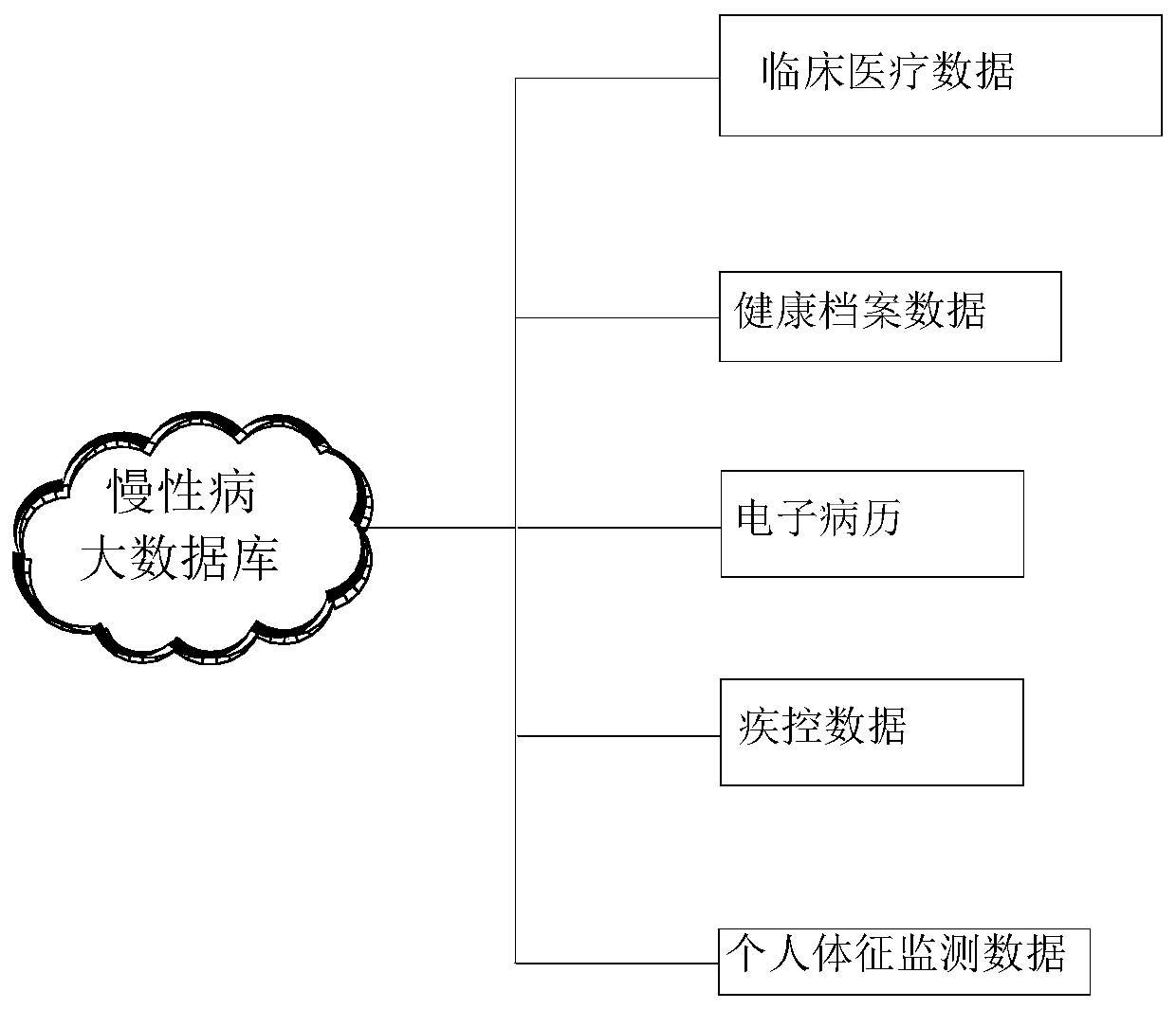 Community chronic disease accurate management system based on city big data