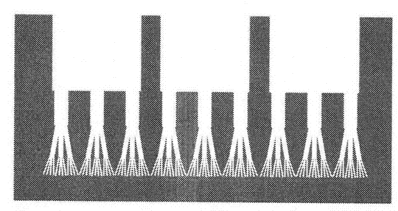 Array with cross-scale biomimetic micro-nano branched structure and preparation method thereof