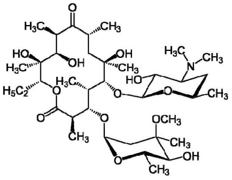 Ginger extract for the protection of stem cells