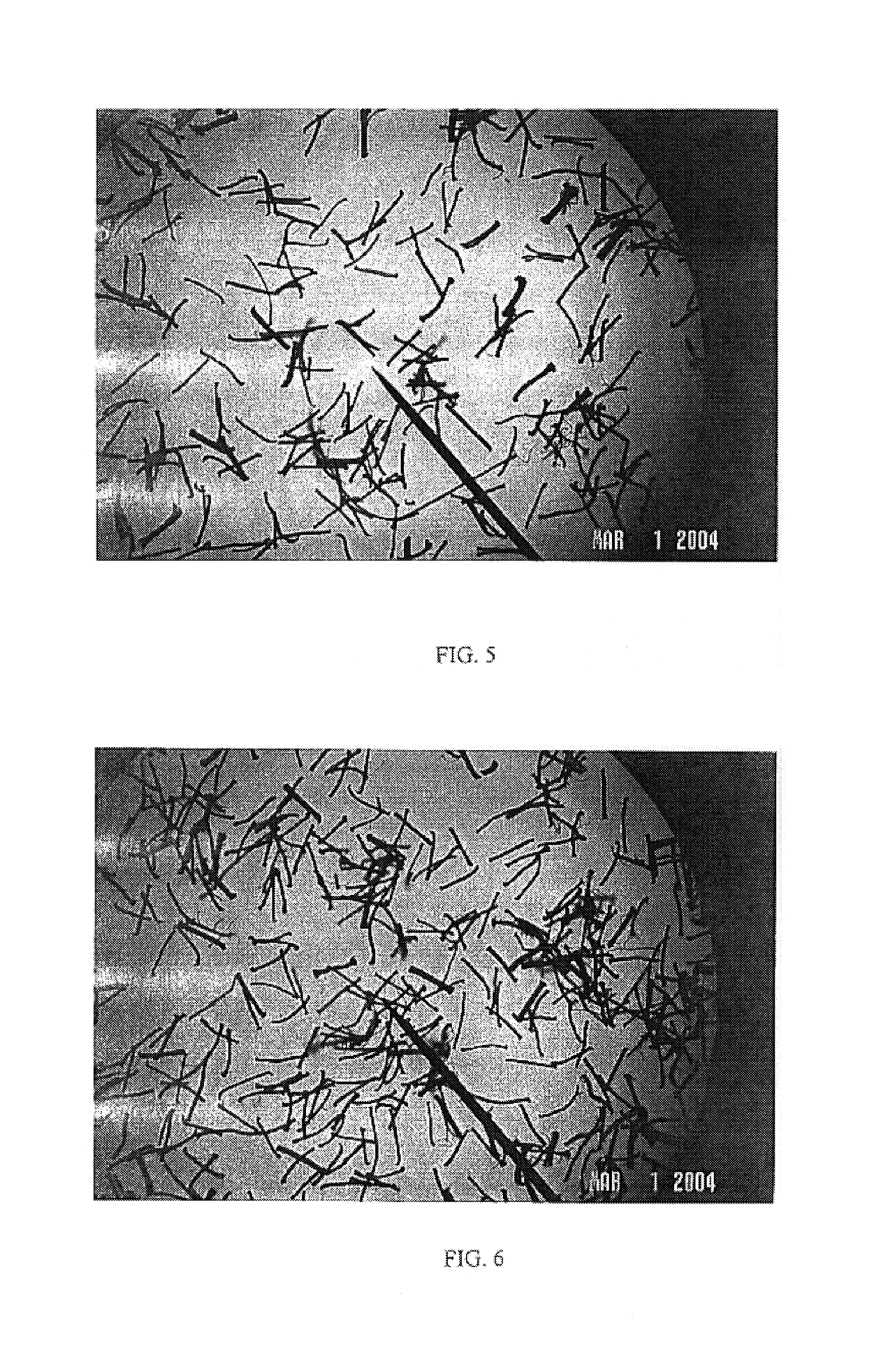 Fiber having increased filament separation and method of making same