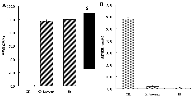 Xenorhabdusbovienii GroEL gene, protein and application thereof