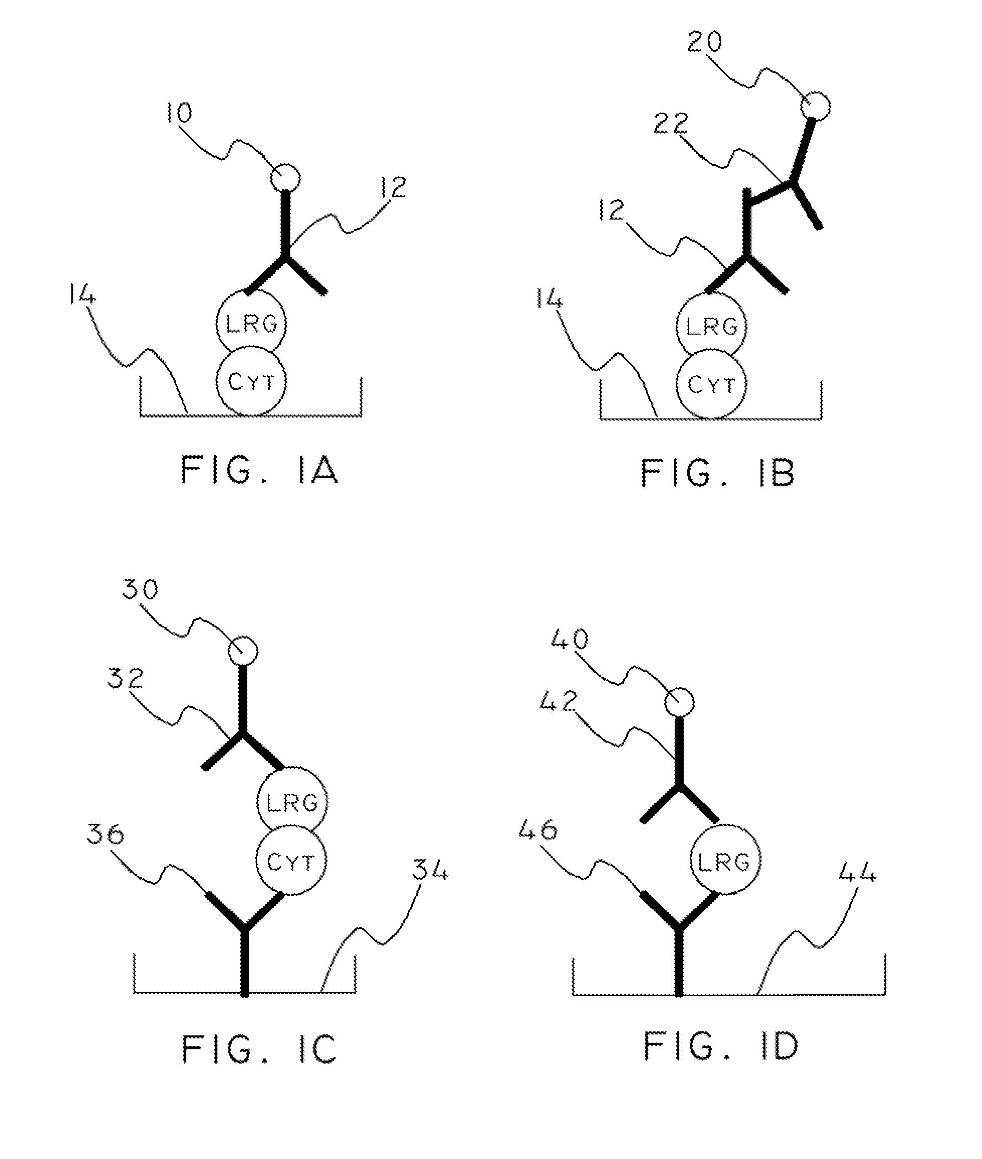 Cytochrome c and leucine-rich alpha-2-glycoprotein-1 assays, methods and antibodies