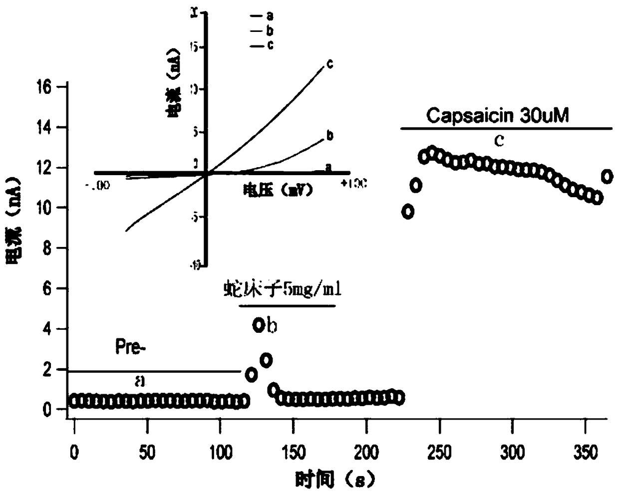 Fructus cnidii extract and preparation and application thereof