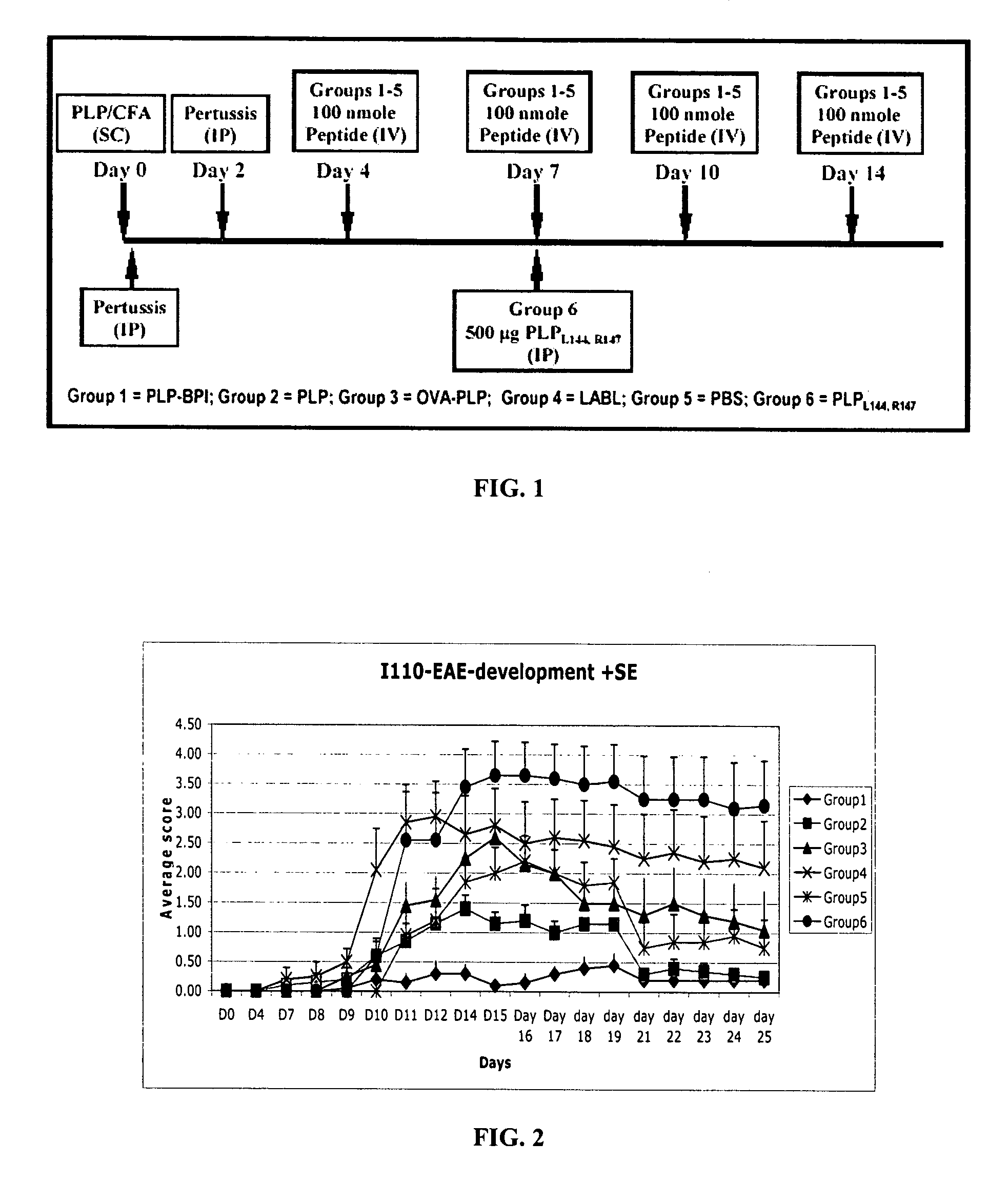 Bi-functional peptides for multiple sclerosis treatment and diagnosis