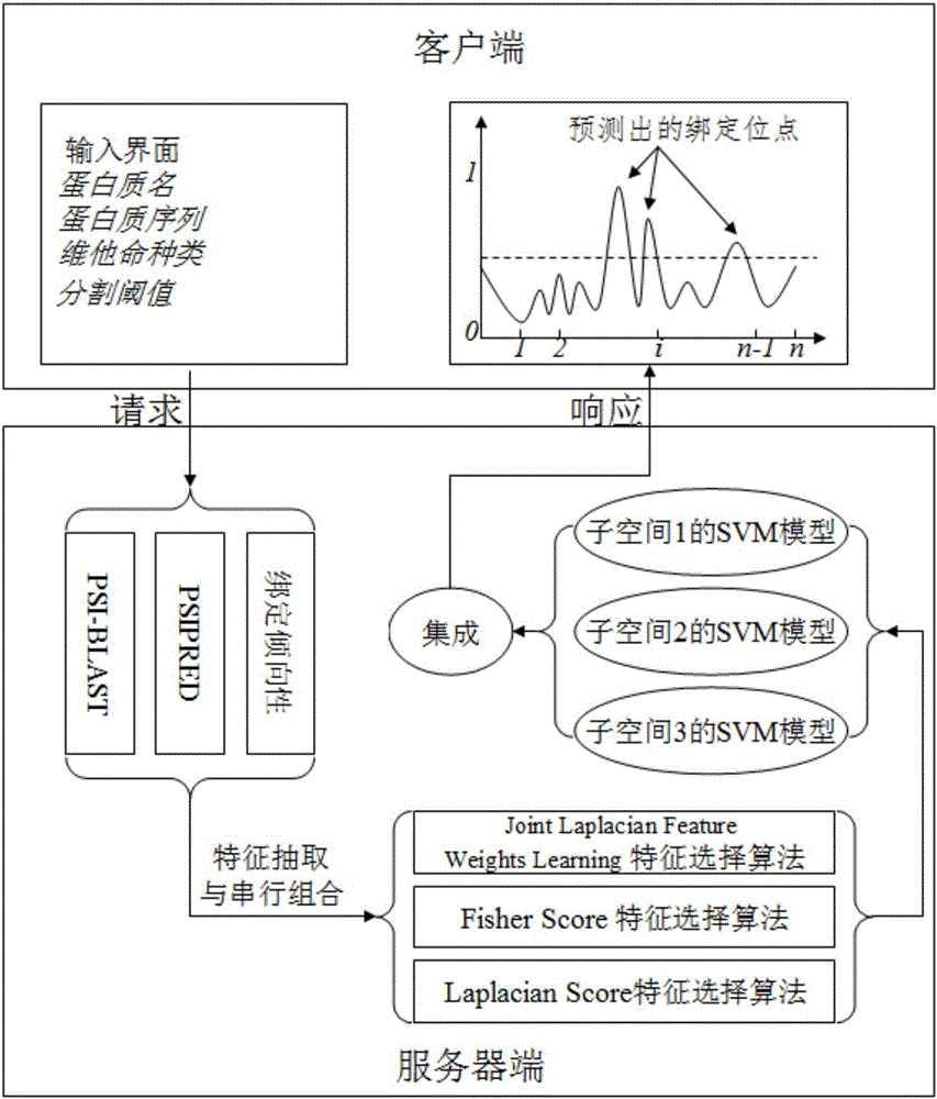 Protein-vitamin binding site prediction method based on subspace fusion