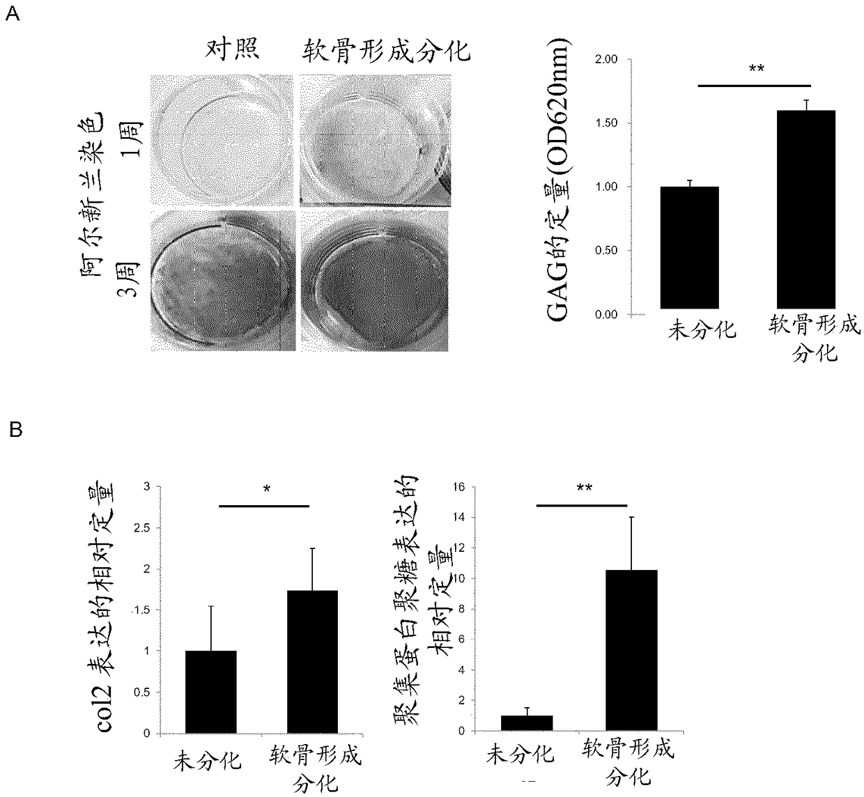 A method for preparing 3D cartilage organoid block