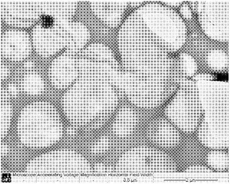 Method for preparing large-scale graphene through supercritical carbon dioxide exfoliation