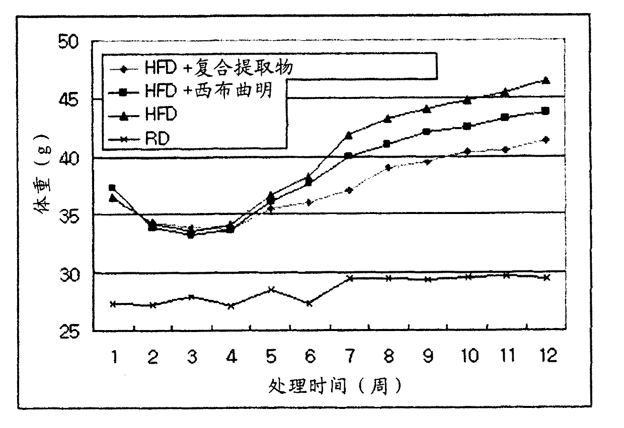 Pharmaceutical composition using herbal extract for prevention and treatment of obesity and metabolic disorders