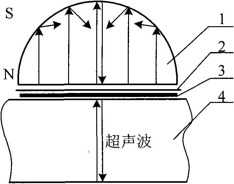 Electromagnetic ultrasonic transducer capable of reducing echo of magnet