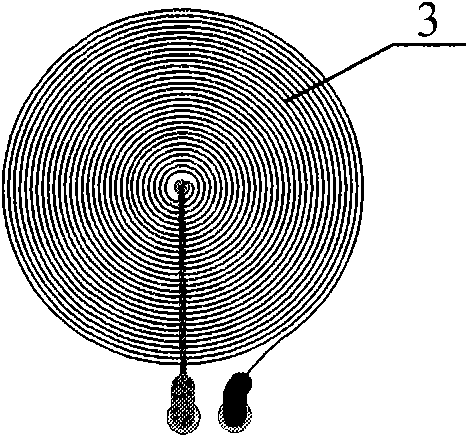 Electromagnetic ultrasonic transducer capable of reducing echo of magnet