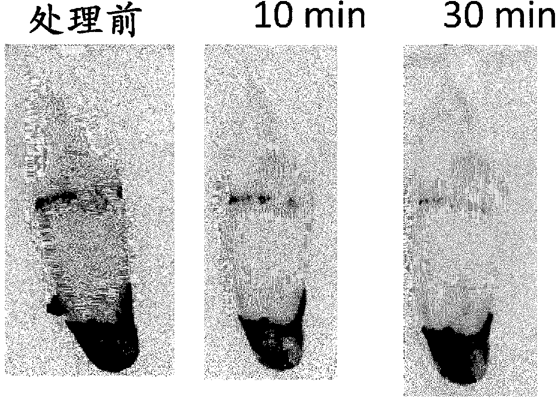 Oral composition for removing tooth stain