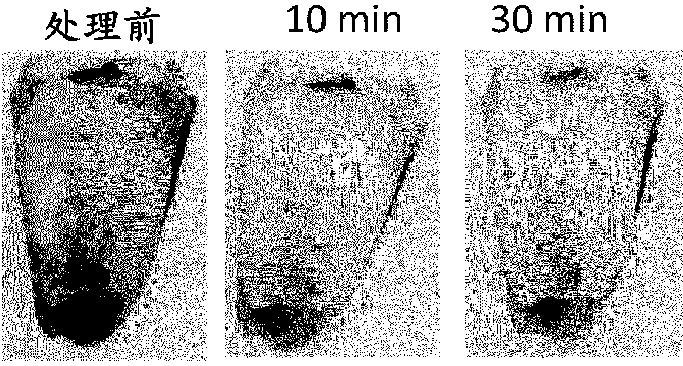 Oral composition for removing tooth stain