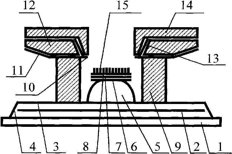 Flat plate display of suspension square cathode type high angle grid control structure and manufacturing process thereof