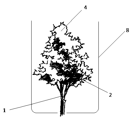 Festoon green belt and manufacture method thereof