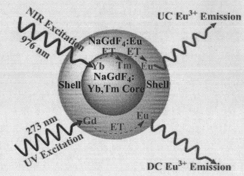 NaGdF4 multifunctional fluorescent label nano-material based on europium ion dual-mode luminescence