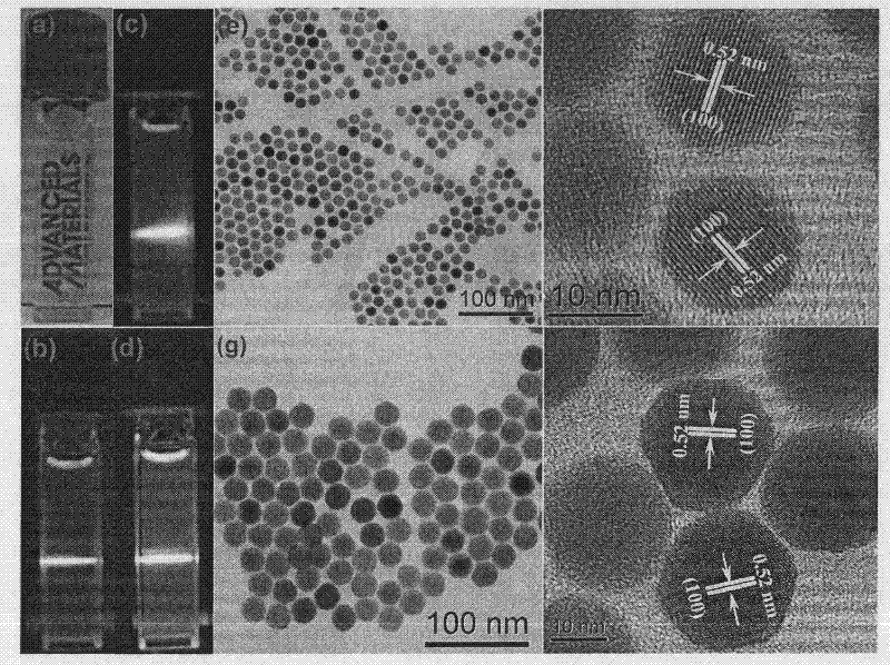 NaGdF4 multifunctional fluorescent label nano-material based on europium ion dual-mode luminescence