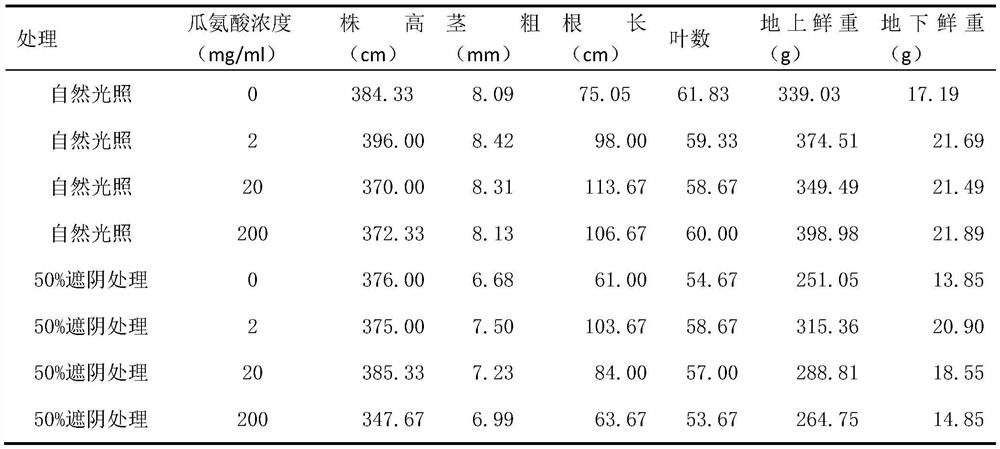 Application of citrulline in promotion of fruit expansion and quality improvement of melon and fruit vegetables