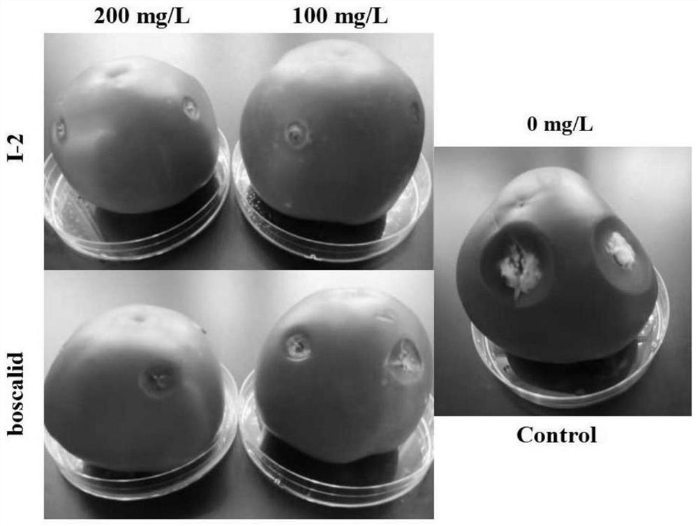 4-(1H-pyrazol-1-yl) biphenyl formamide compound containing diphenyl ether group and application thereof