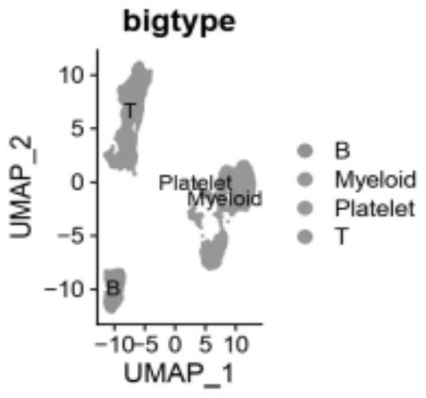 Application of single cell sequencing as marker in preparation of diagnostic primary sicca syndrome