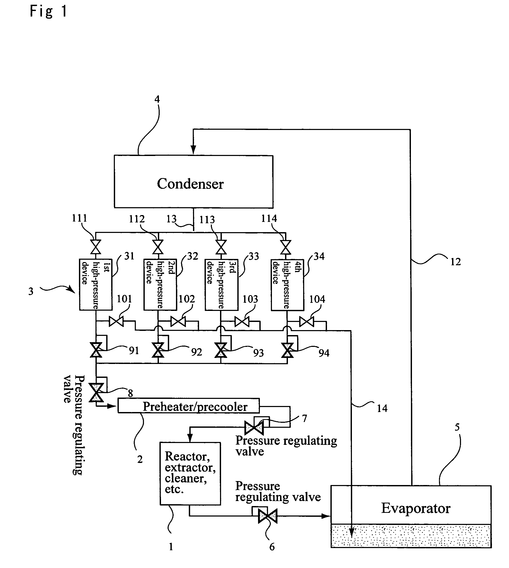 System and device for processing supercritical and subcritical fluid