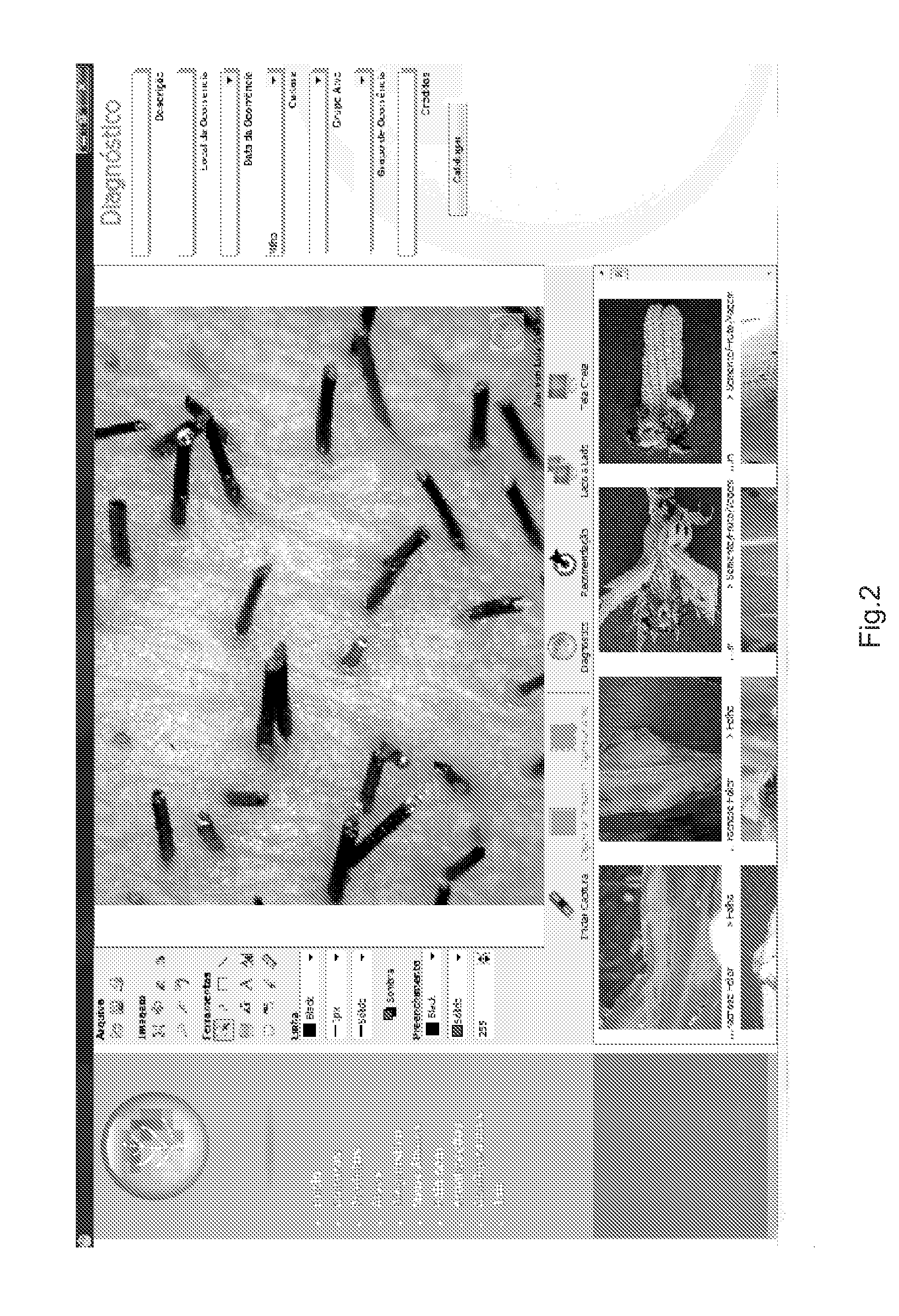 System for diagnosis of plant anomalies