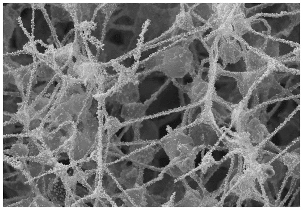 Preparation method and application of MXene-based inorganic particle/PVDF-based polymer composite diaphragm